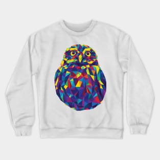 Rainbow Geometric Owl Crewneck Sweatshirt